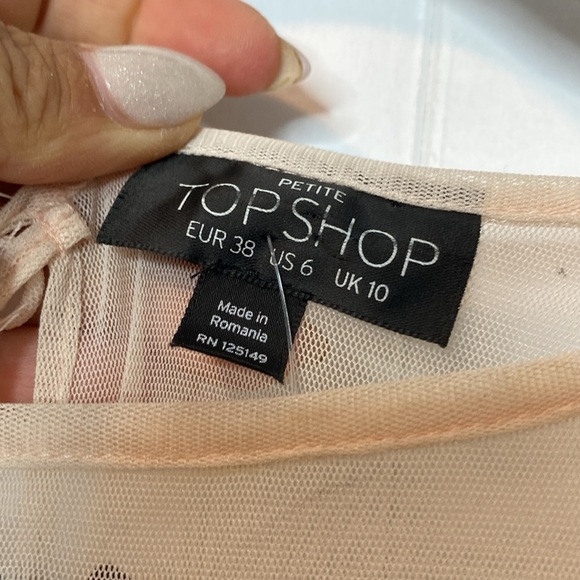 Topshop | Embroidered Lace Dress - Pink Cream Sage Green Blacks - US6 - Mesh upp - Picture 2 of 9